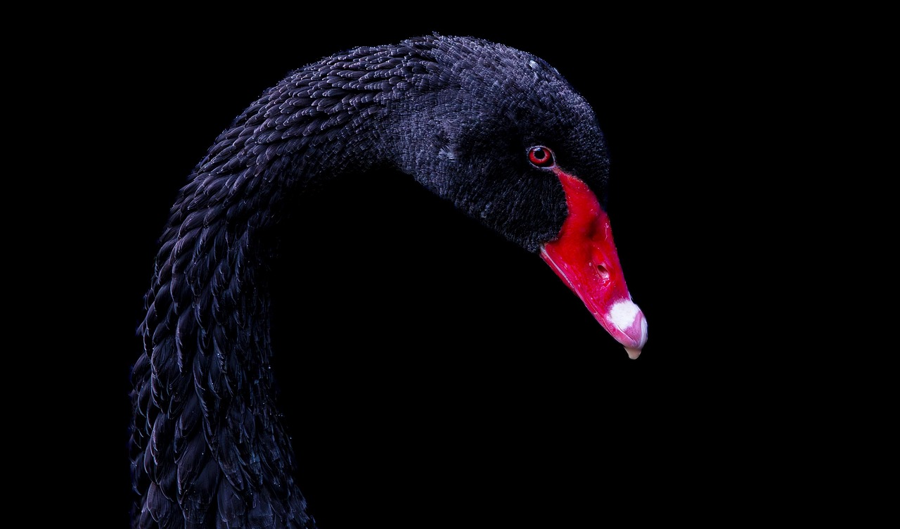 ブラック企業を辞めたいけど不安を解消する方法は？