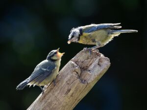 ブラック企業を辞めると決めた後にやるべきことは？