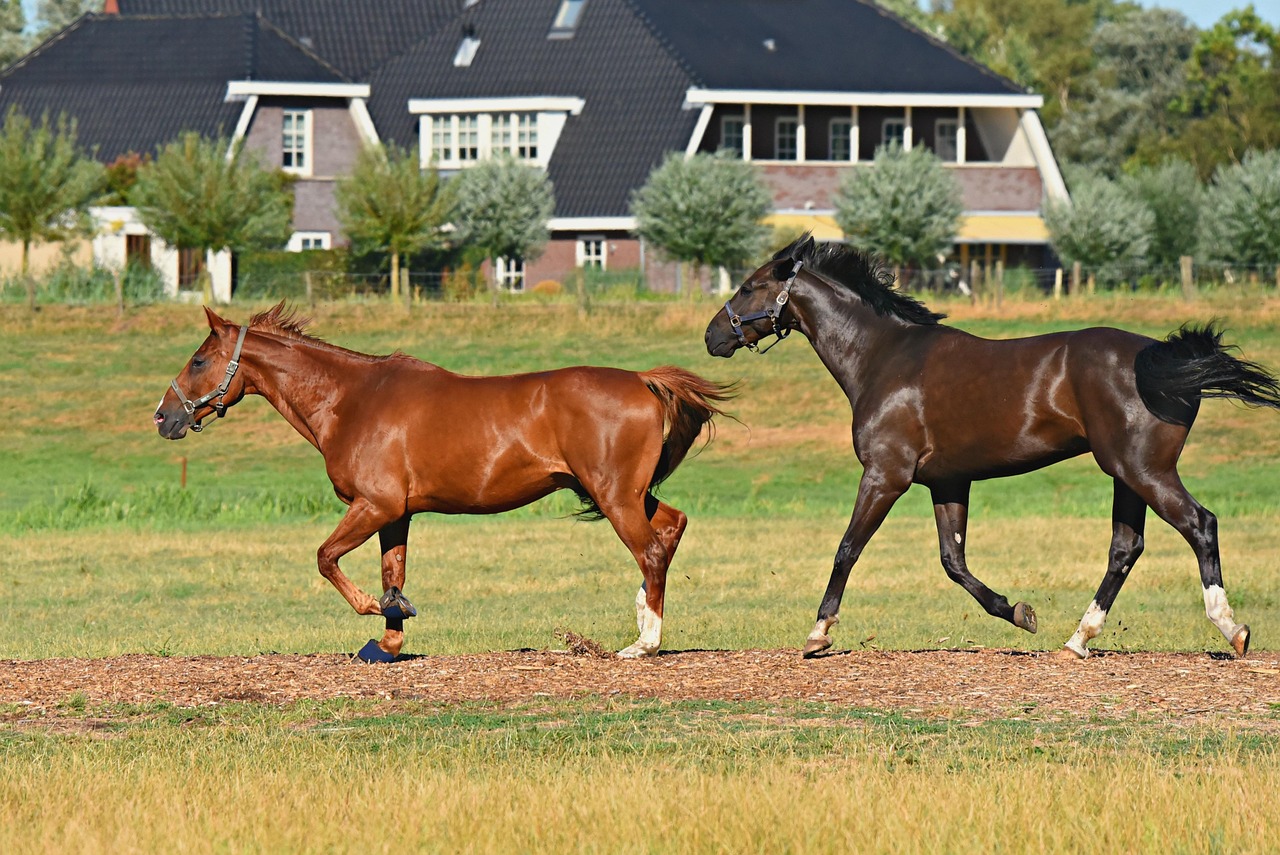 ブラック企業で働き続けたらどうなるのか？