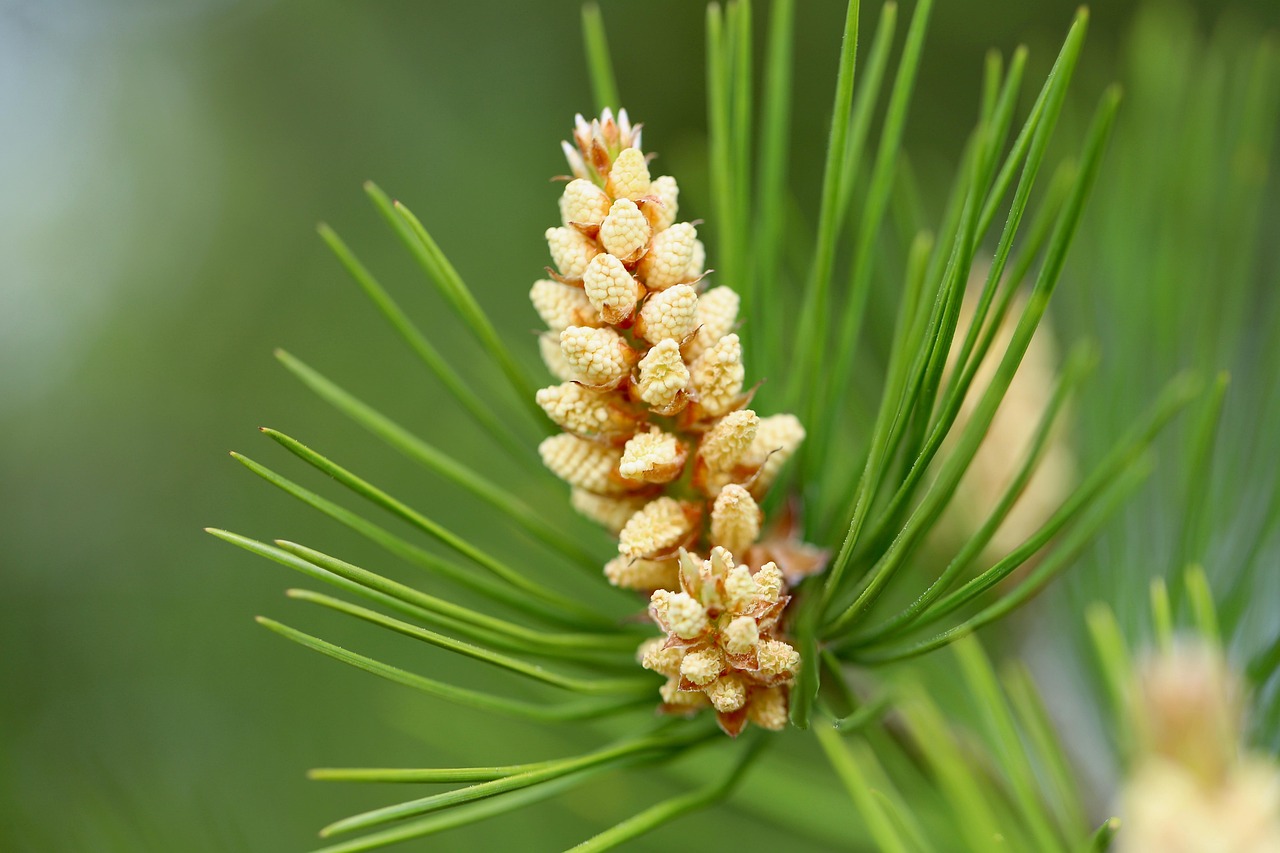 ブラック企業からの退職後に転職軸を決める方法は？