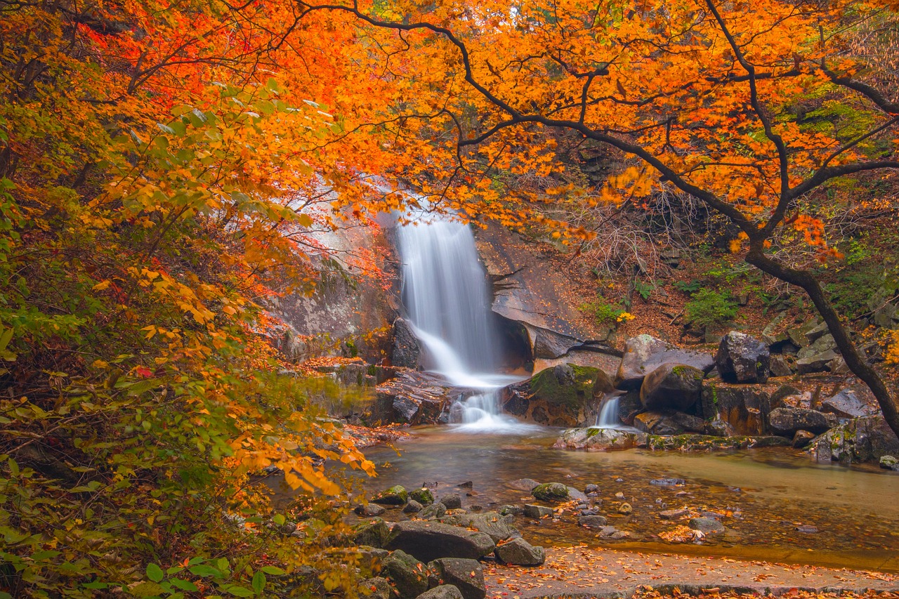 転職活動で面接に落ちる原因とは？